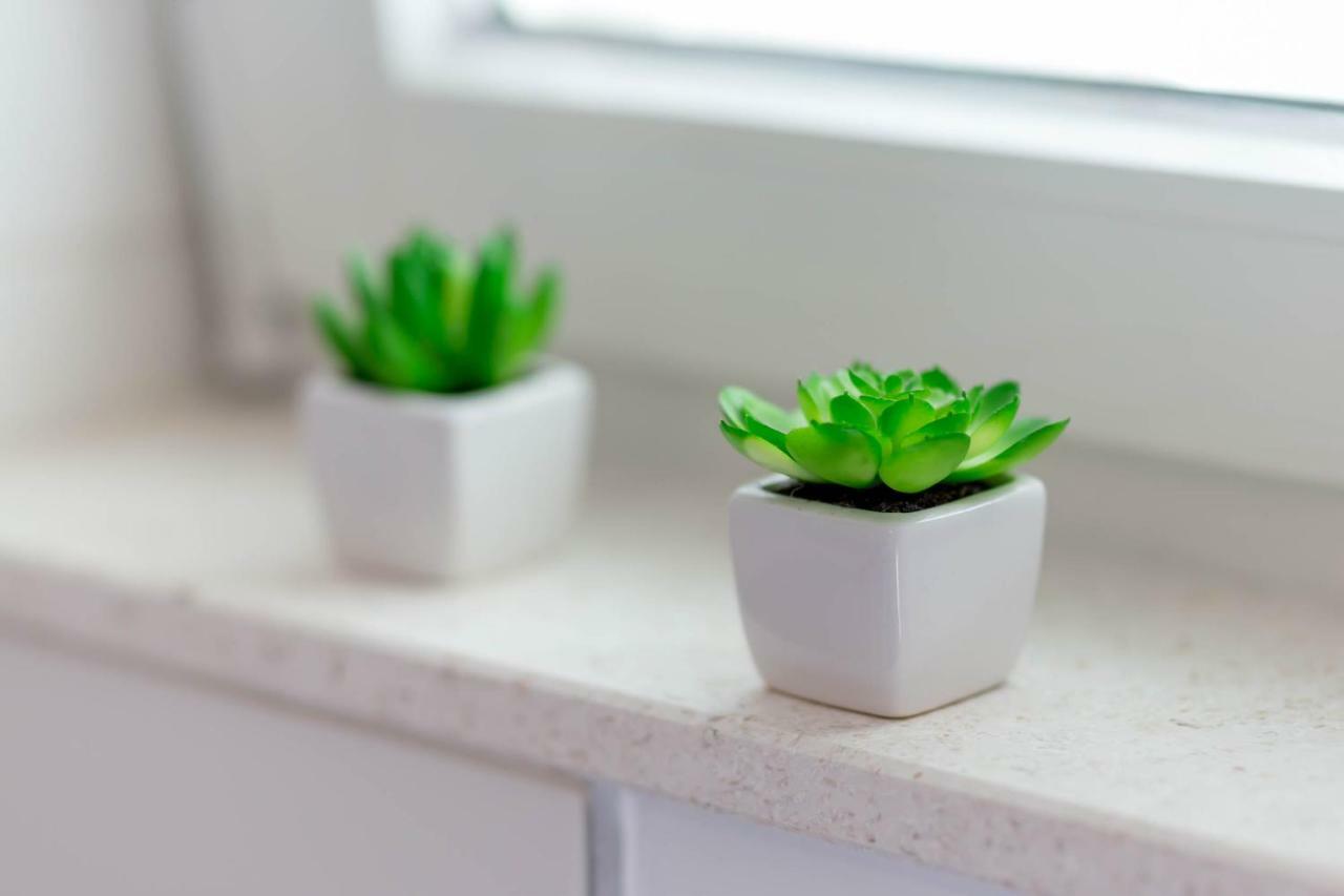 Apartment Nina Подстрана Екстериор снимка